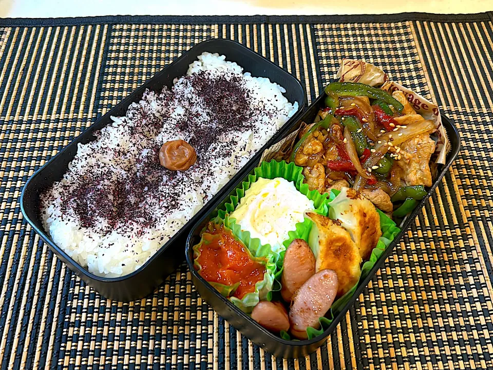 今日の高校男子弁当(6/26)|ミカリンさん