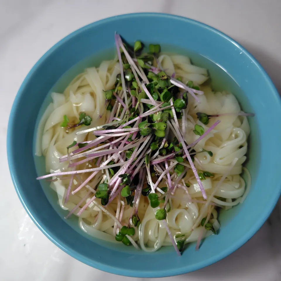 素饂飩|ハイドランジアさん