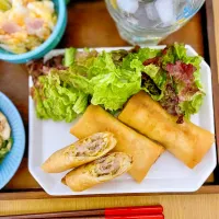 豚肉とキャベツの春巻き|ハマーさん