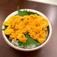 雲丹丼