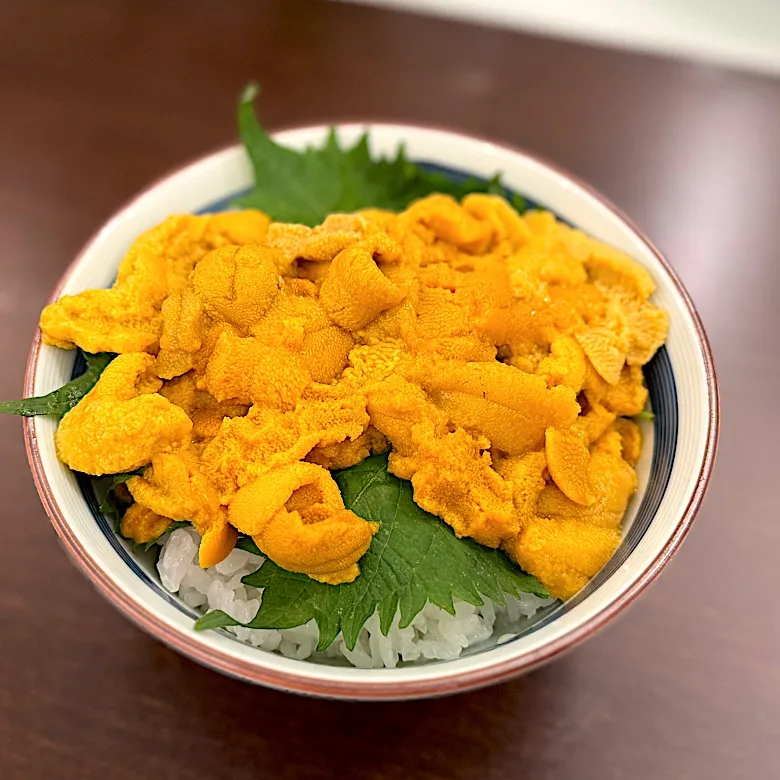 雲丹丼|流線形さん