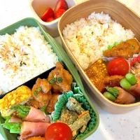 毎日気温30度超えで食中毒が心配で保冷剤入れ過ぎ冷え冷え弁当☺︎☺︎|きなこもちさん