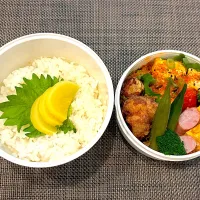 高校生息子のお弁当🍱 麻婆豆腐と唐揚げ弁当🍙|Snow10さん