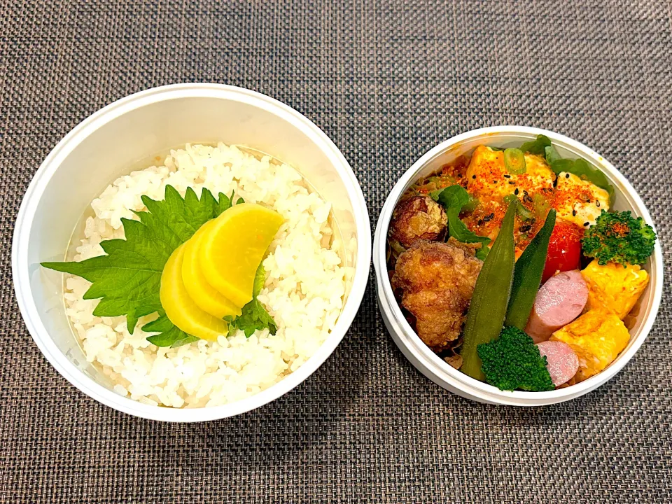 高校生息子のお弁当🍱 麻婆豆腐と唐揚げ弁当🍙|Snow10さん