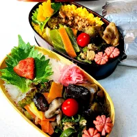 鳥と茄子のくたくた煮弁当|nnnnn’koさん
