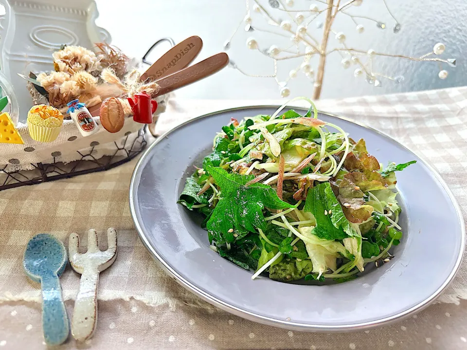 大葉とみょうがの夏サラダ🌻|がぁがさん