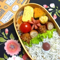 6/27 エノキ肉巻き•シラス弁当| JUNe28さん