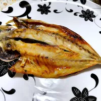 鯵のひらき|こいちさん