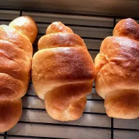 🥐不揃いバターロール🧈|まやさん