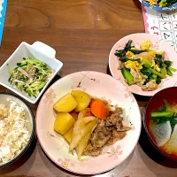 肉じゃが　大根とニラの味噌汁　豚バラと小松菜の卵炒め　きゅうりとハムの塩レモン和え|おさむん17さん