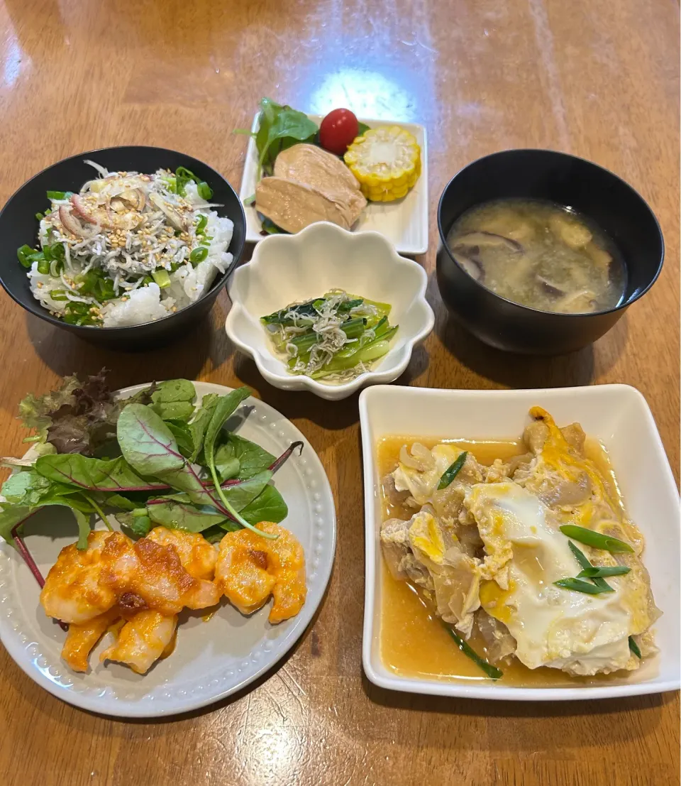 今日の晩ご飯|トントンさん