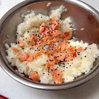 下宿生への冷凍🍚|まさよ☺︎さん