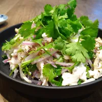 蒸し鶏とパクチーのサラダ|古尾谷りかこさん
