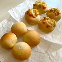 今日のパン