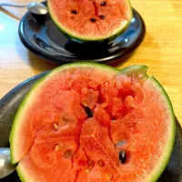 姫スイカ🍉初めまして💕|さくたえさん