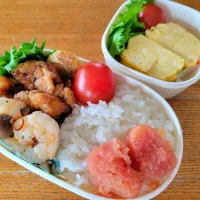 本日の息子弁当|まめすけさん