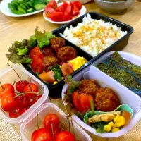 ミートボール弁当|しばざきまりさん