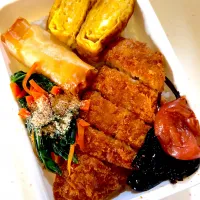 女子新入社員弁当|ぽててとさん
