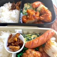 今日の娘、息子弁当|ようちゃんさん