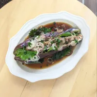 姿茄子の肉はさみ浸し、薬味まみれ|mi_neneco♪さん