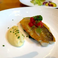 Nice Fish|Tommy Choyさん