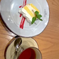 |Junko Iimuraさん
