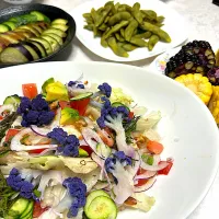 野菜たっぷり彩りサラダ|ひろちゃんさん