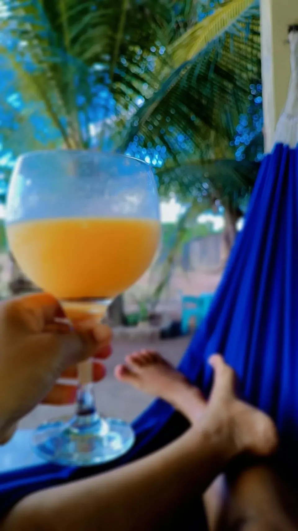 |Claudia Texeira Novaishさん