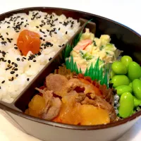 #317 肉じゃが弁当|namiさん