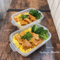 今日のお弁当🍱