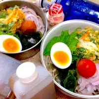 今日の夫婦弁⁽⁽ ◟(灬 ˊωˋ 灬)◞ ⁾⁾💕|桃実さん