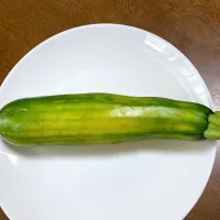 プランターで初収穫ズッキーニ|ちいこさん