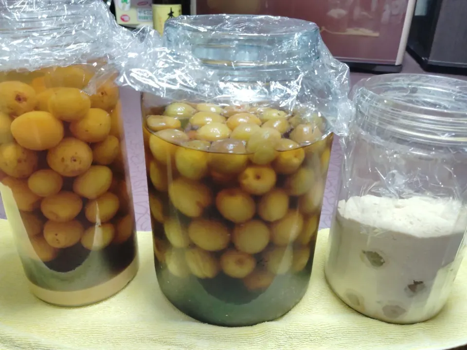 梅漬け中|由紀子さん