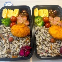 今日のお弁当🍱|Mikanさん