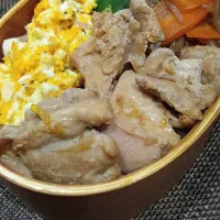わっぱお弁当|マイさん