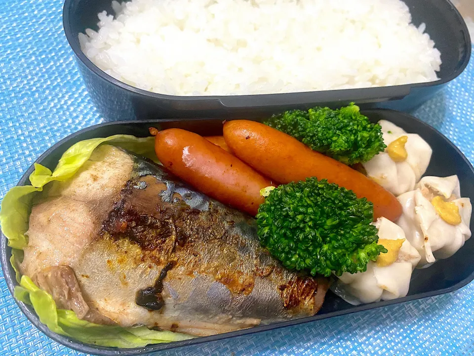 単身赴任弁当247|単身赴任のっちさん