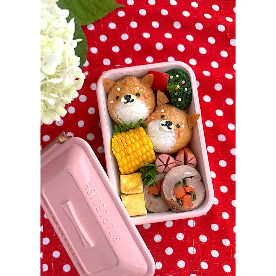 しば犬弁当|chikaさん