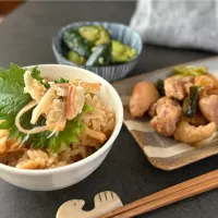あたりめ炊き込みご飯、ねぎま風焼鳥|ちぐけんさん