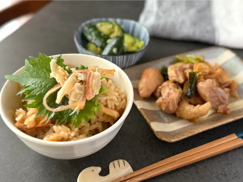 あたりめ炊き込みご飯、ねぎま風焼鳥|ちぐけんさん