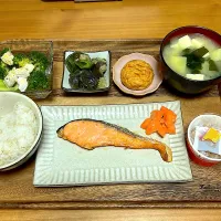 作り置きたちで簡単ごはん|🍮ぷりぷりざえもん🍮さん