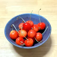 紅秀峰🍒|ツナコさん