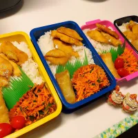 夫弁当､息子弁当､私弁当､娘弁当|みどりさん