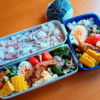 次男・私弁当&おにぎり|tamagomagomagoさん