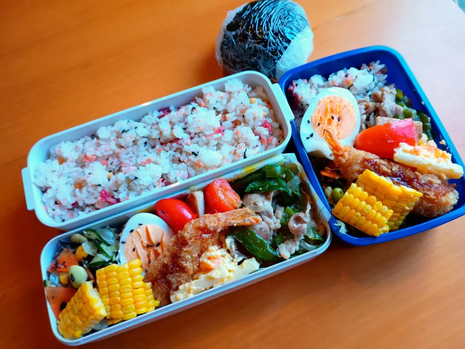次男・私弁当&おにぎり|tamagomagomagoさん