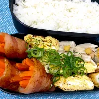 単身赴任弁当248|単身赴任のっちさん