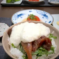 7/3 マグロ漬け山掛け丼|あーるさん