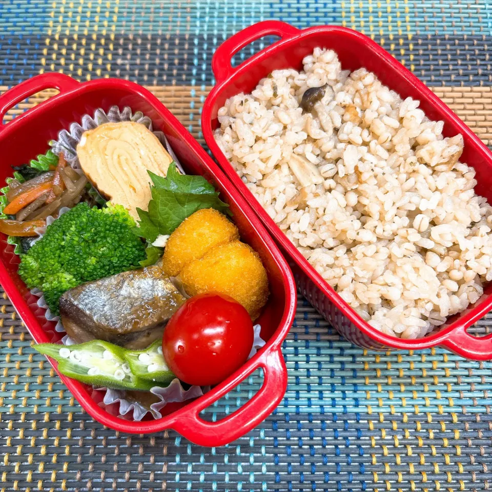 今日の旦那さんのお弁当|naoさん