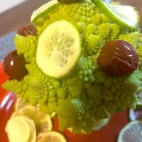 ロマネスコツリー|きくさん