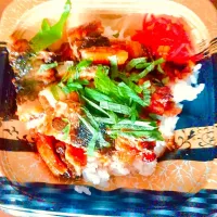 昨日(7月3日)の昼ご飯  大須商店街のスーパー「サノヤ」さんの鰻まぶし丼|はやとさん