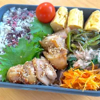 ごまチキン弁当|hiro♪kouさん